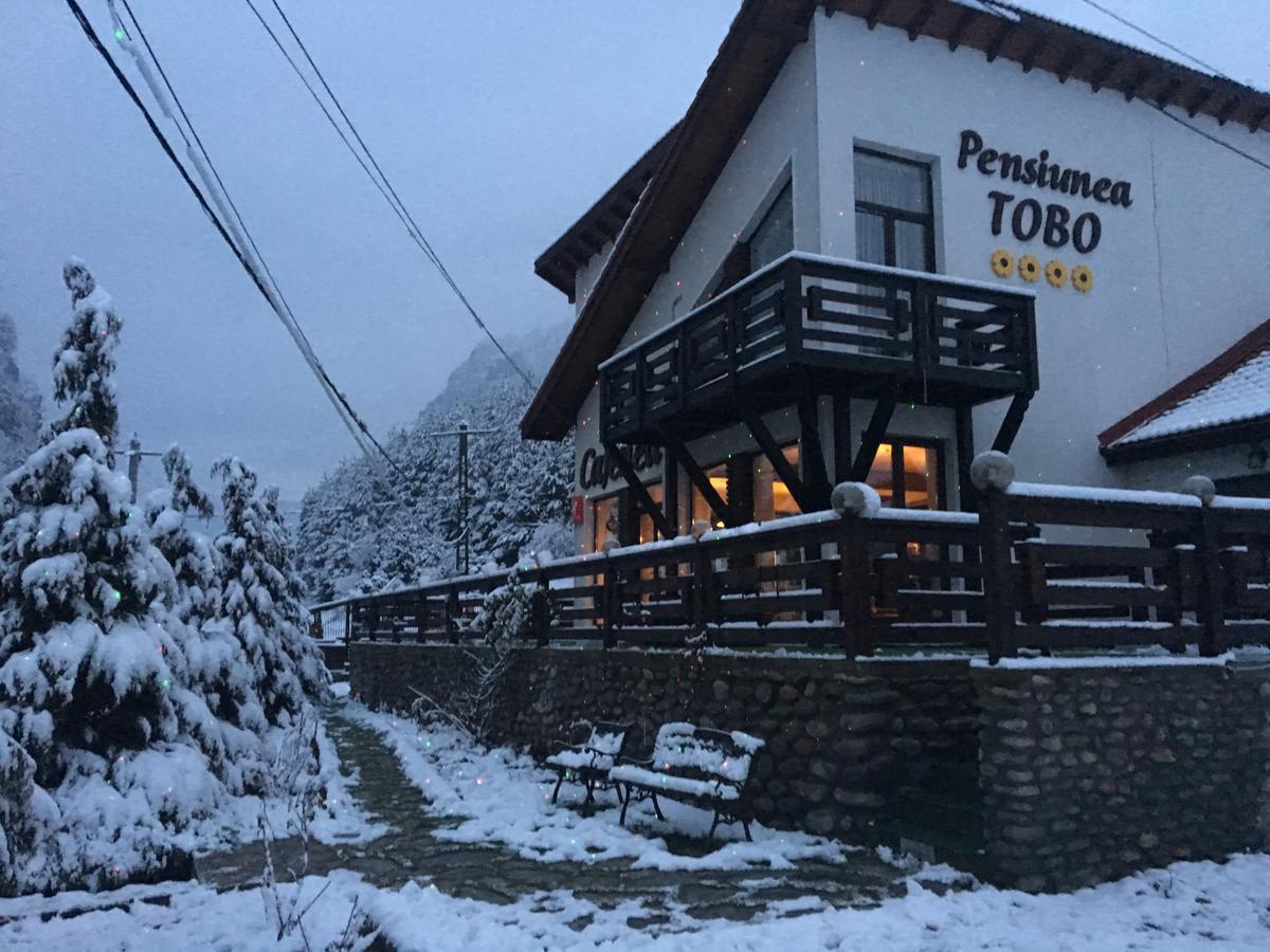 Pensiunea Tobo Baia de Fier Exterior foto